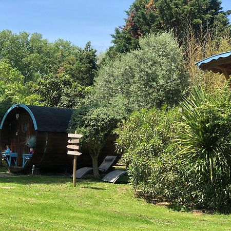 Bed and Breakfast La Bastide De Negra Montesquieu-Lauragais Экстерьер фото