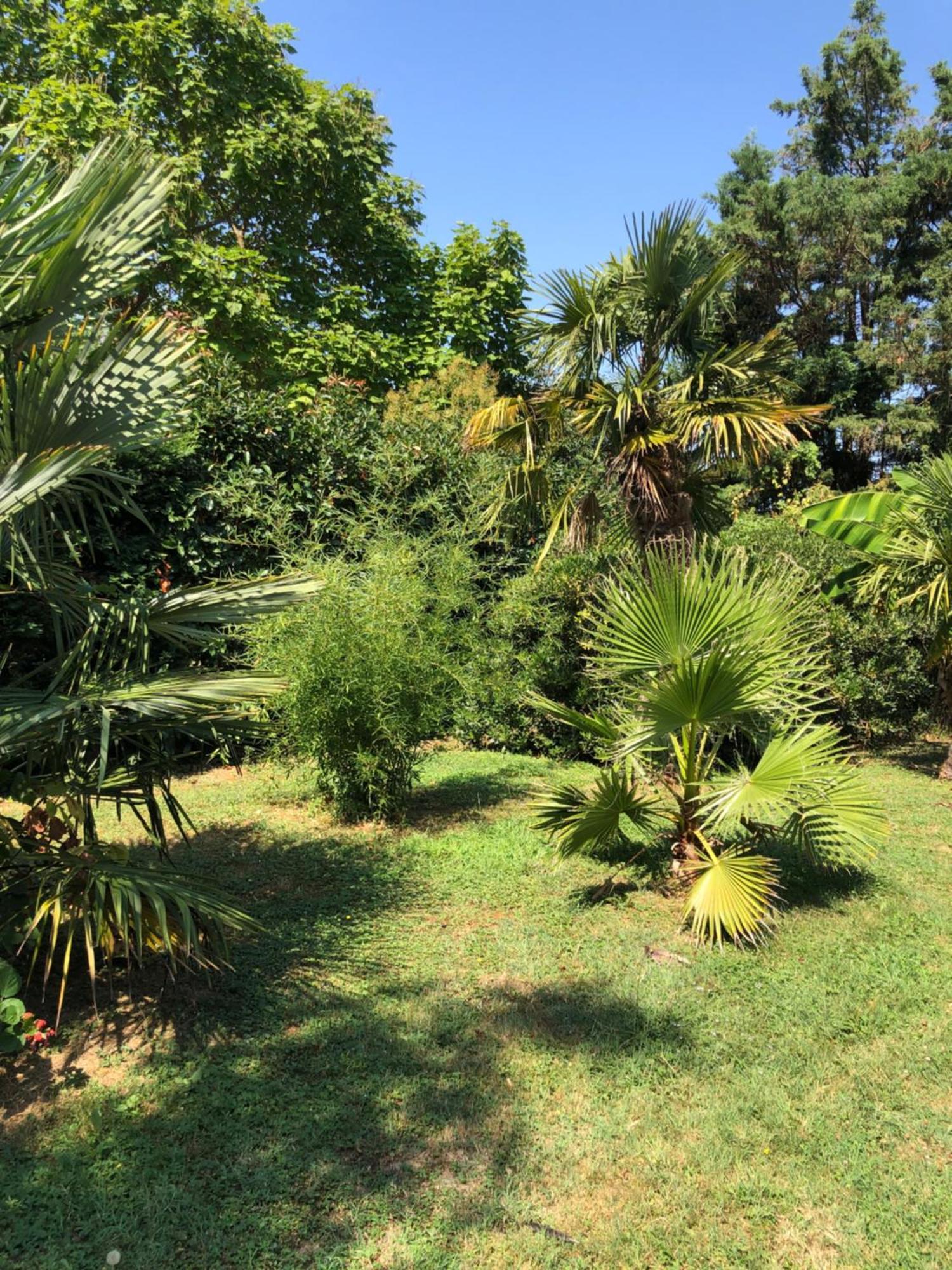 Bed and Breakfast La Bastide De Negra Montesquieu-Lauragais Экстерьер фото