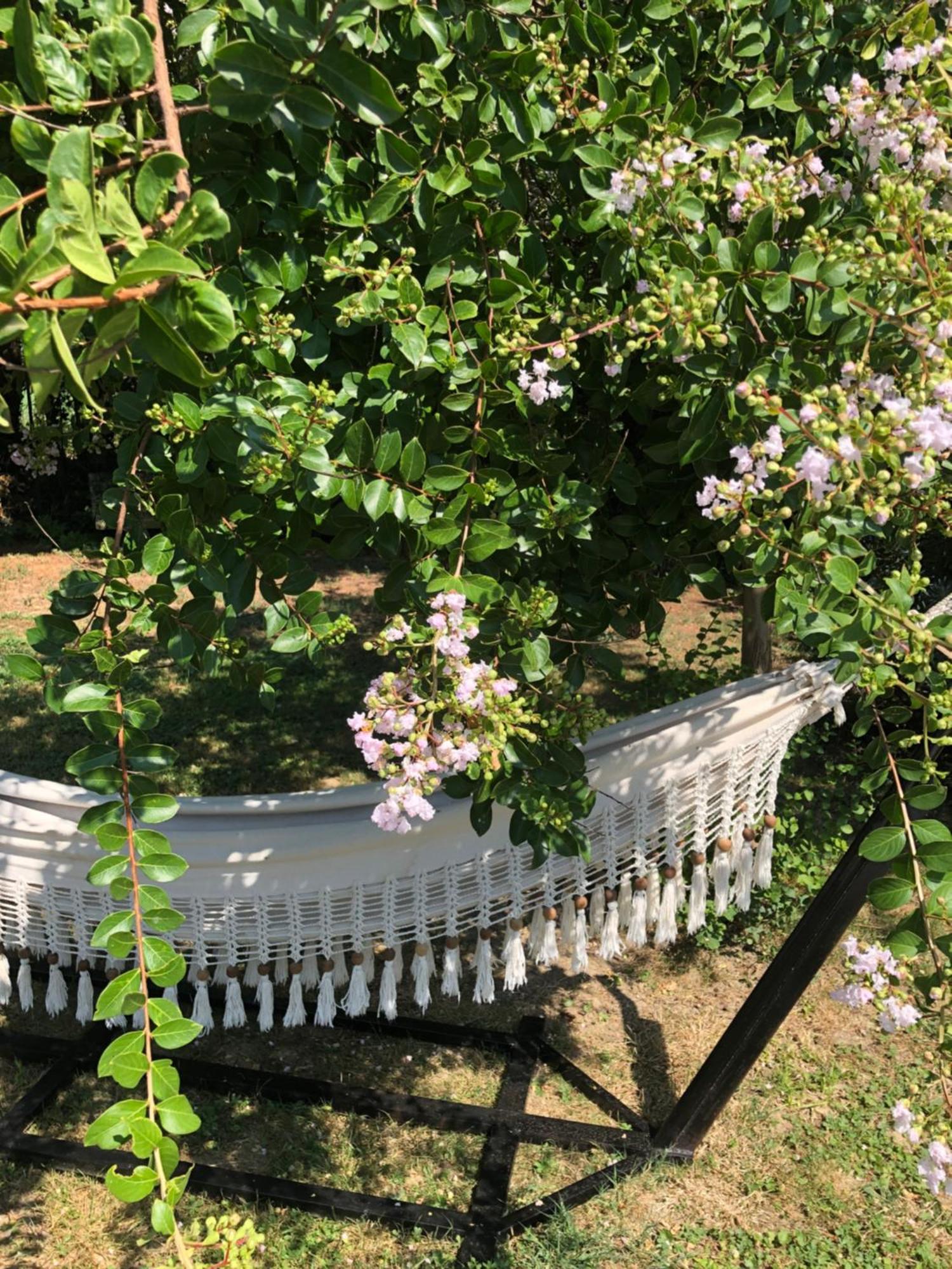 Bed and Breakfast La Bastide De Negra Montesquieu-Lauragais Экстерьер фото